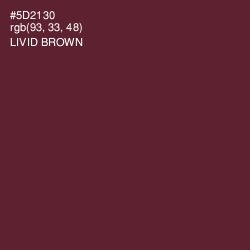 #5D2130 - Livid Brown Color Image